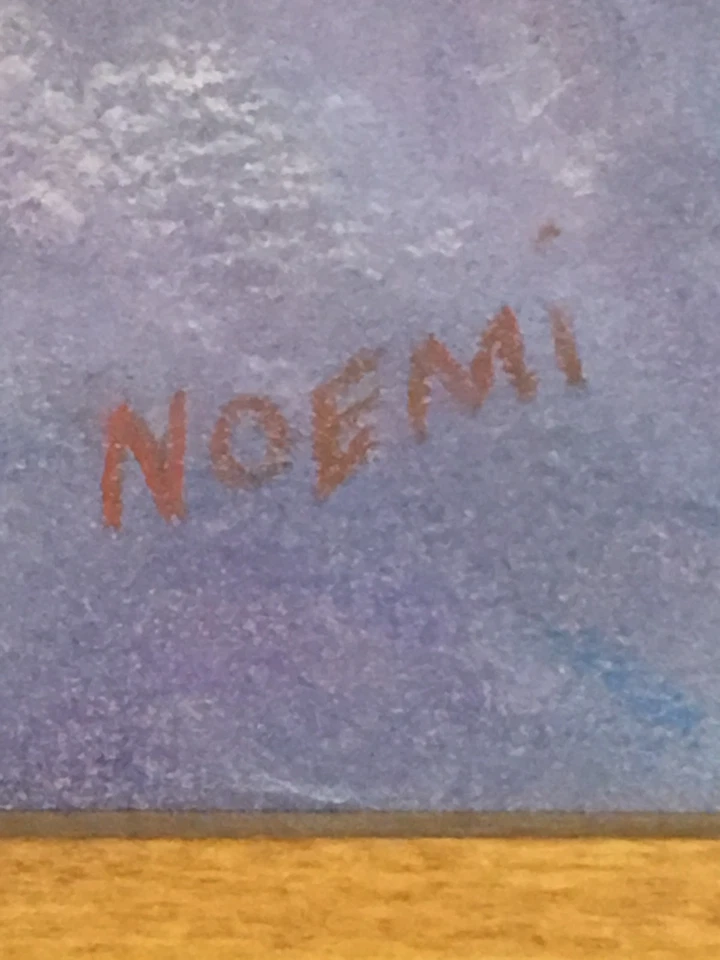 Atractiva Mujer NATIVA AMERICANA - Arte Forastero Original - Dibujo Pastel NOEMI Foto 4 de 4