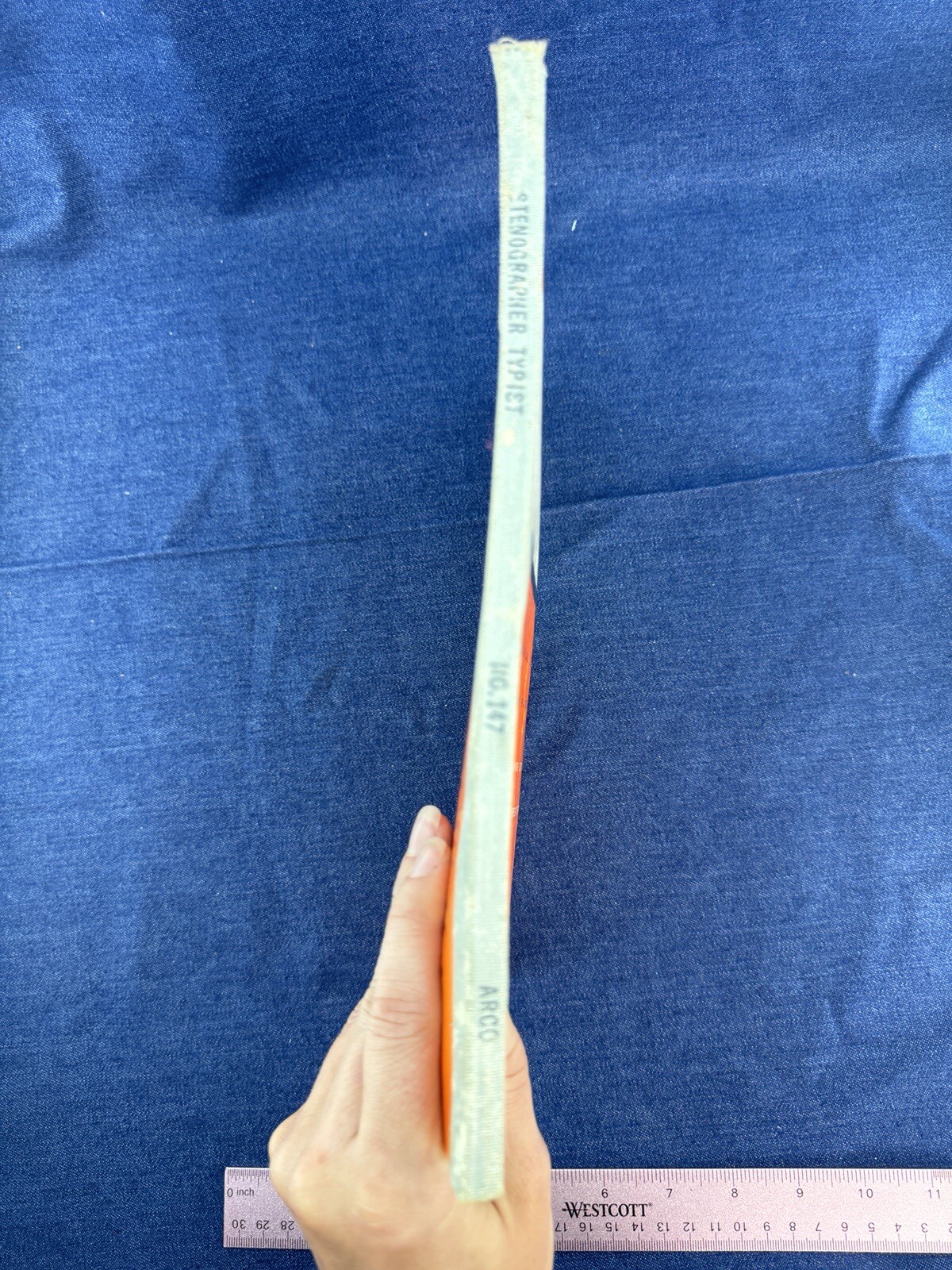 Foto 3 di 12