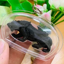Black Tiger Thai Amulet Yant Talisman Pendant Strength Powerful Waterproof Case