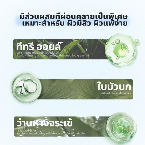 Dewyblue Tea Tree Blur Powder Facial Skin Oil Control Colorless Dust-free 0.16oz - Picture 6 of 7