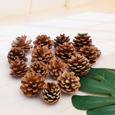 Natural Bulk Pine Cones,Christmas Tree Fall Ornaments,Christmas Rustic Pineco...