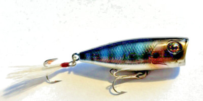 Illex / Jackall SK Pop Popper, Topwater, Oberflächenköder, 5,3 cm Floating