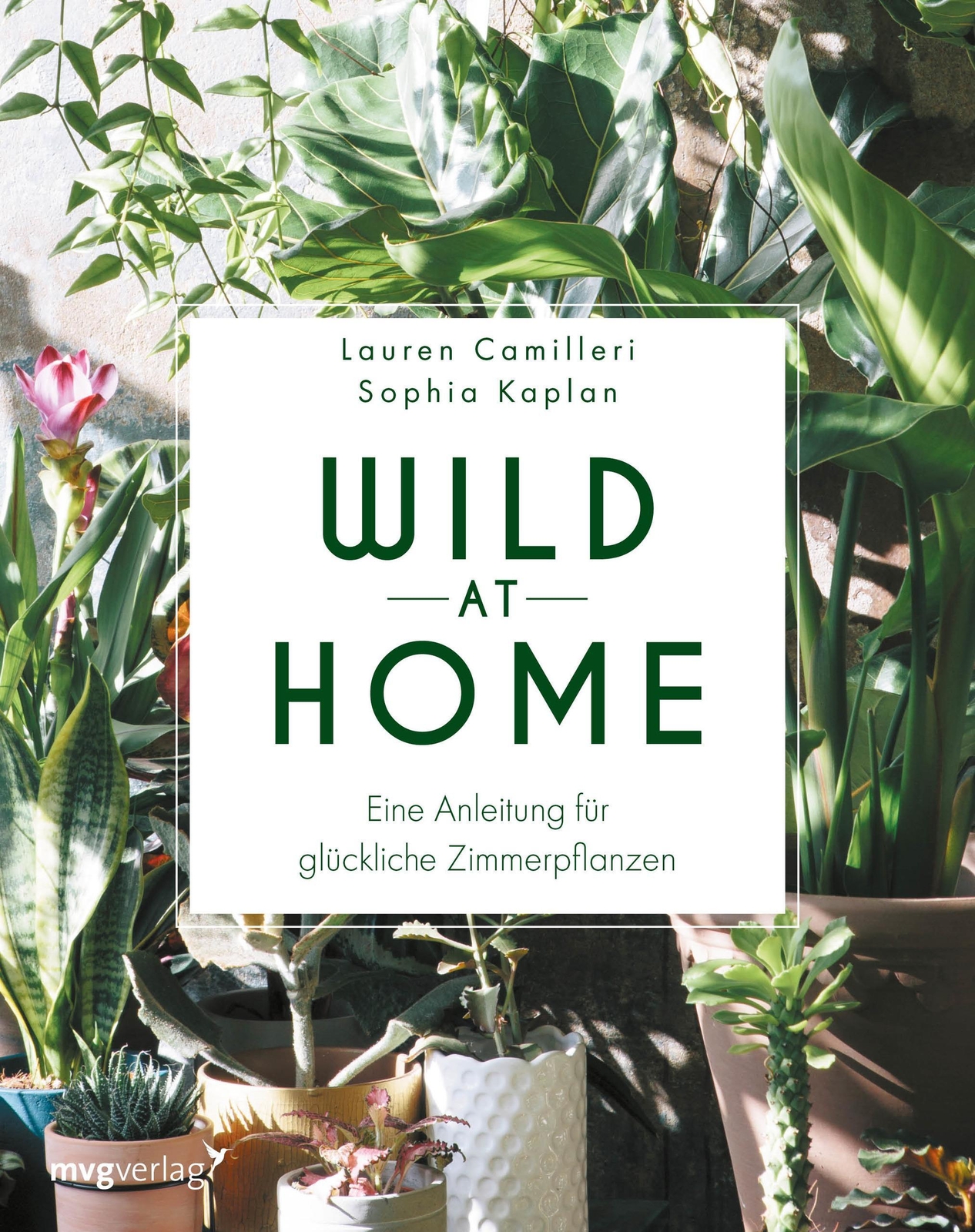 Thumbnail - Wild At Home Lauren Camilleri