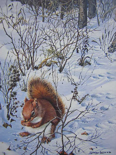 Bild 1 von 1