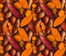 Food Fabric Fruits Veggies Packed Sweet Potato David Textiles YARD