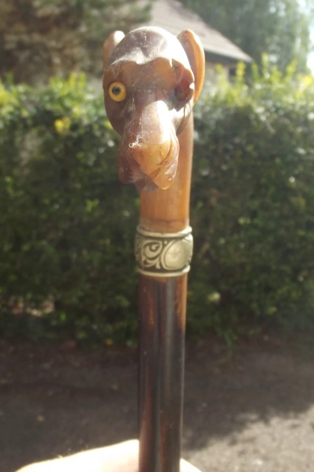 Ancienne Belle Canne De Dandy .  Pommeau En Corne . TETE DE LEVRIER . XIX EME - Photo 4/4