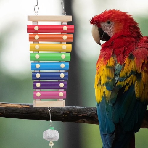 3pcs Bird Food Treat Skewer achats Bird Foraging Toy Parrot Foraging Toys