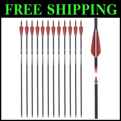 Carbon Arrow Set 12-Pack for Target Practice