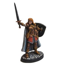Painted Female Paladin Miniature Knight Fighter Rpg Fantasy Dnd 5e