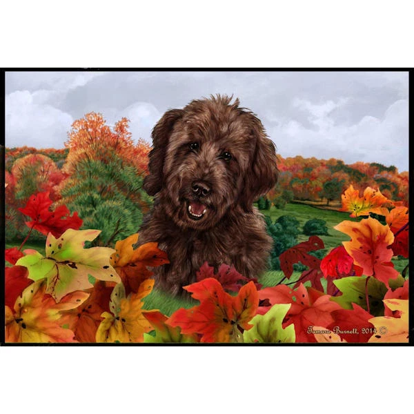 Goldendoodle mats hotsell