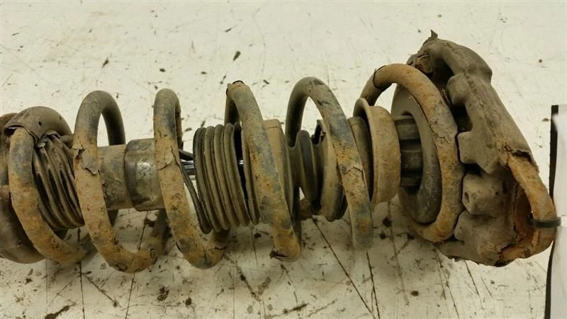 Strut Rear Back S Fits 00-06 Nissan Sentra - Image 3 of 3