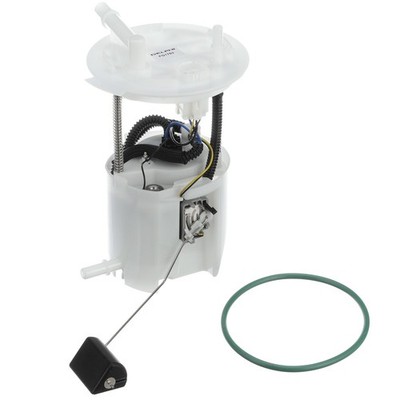 Delphi FG1753 Fuel Pump Module Assembly For Ford Taurus/Mercury Sable 08-09