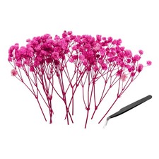 30 Pcs Dried Gypsophila Flower 4" Rose Red Pressed Flowers with Tweezer
