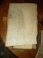 Hoosier Poplar Wood Slab Live Edge. Rough Cut. Approx 12inx1in x 18 to 24in long