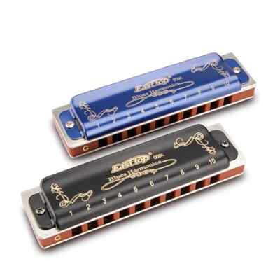 EASTTOP 10Hole Blues T008K Harmonica Diatonic Blue Harmonica Mouth Organ Gift US
