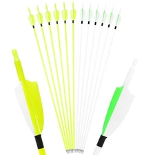 12pcs 30" Archery Carbon Arrows 3" Turkey Feather SP500 Recurve Bow Tip Shooting