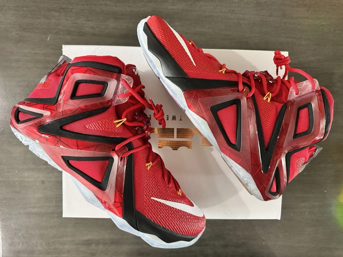 Nike LeBron 12 Elite Team | eBay