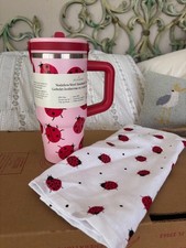 Juego de cocina Ladybug: vaso aislado Ladybug andladybug paño de cocina