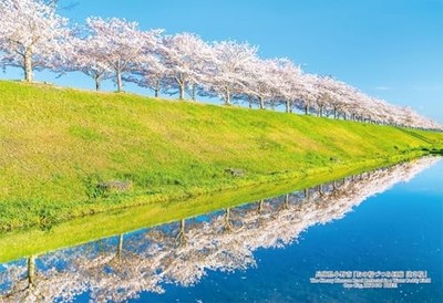Cuties [Hergestellt in Japan] 300-teiliges Puzzle 91 japanische Städte Ono Sa...