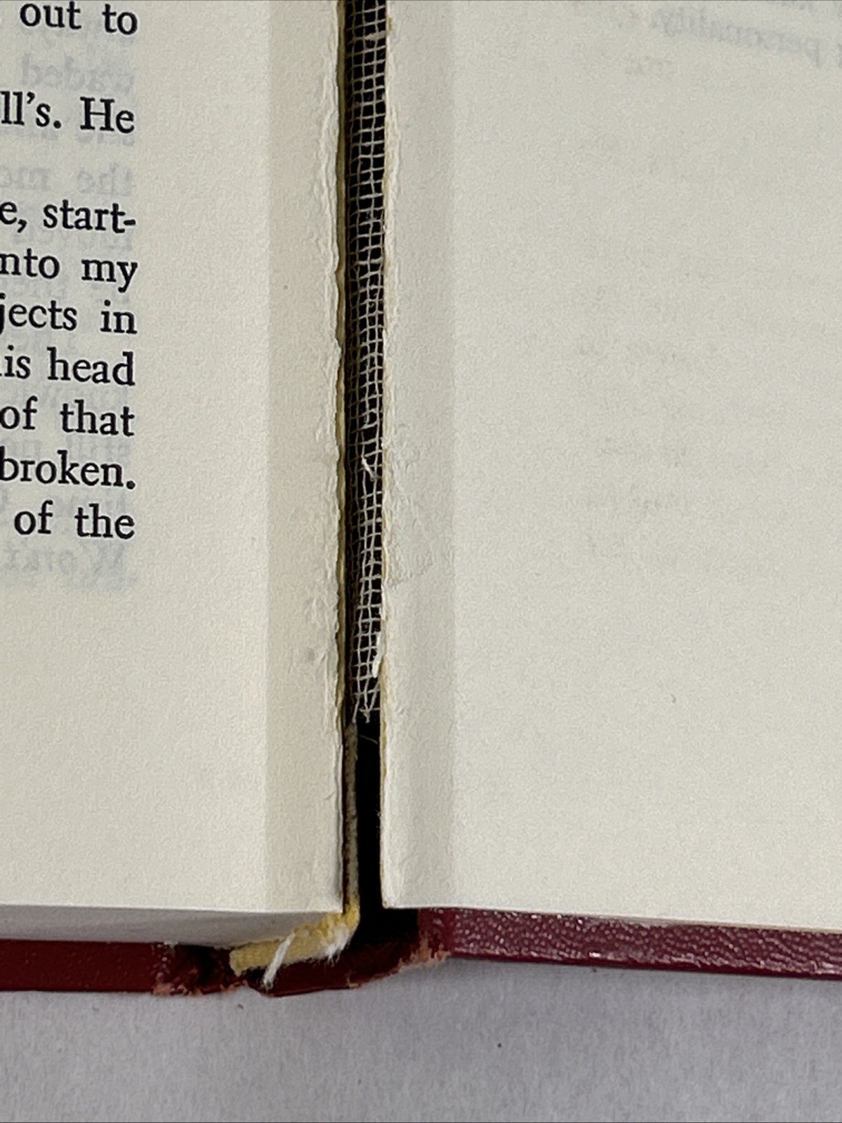 Picture 21 of 24