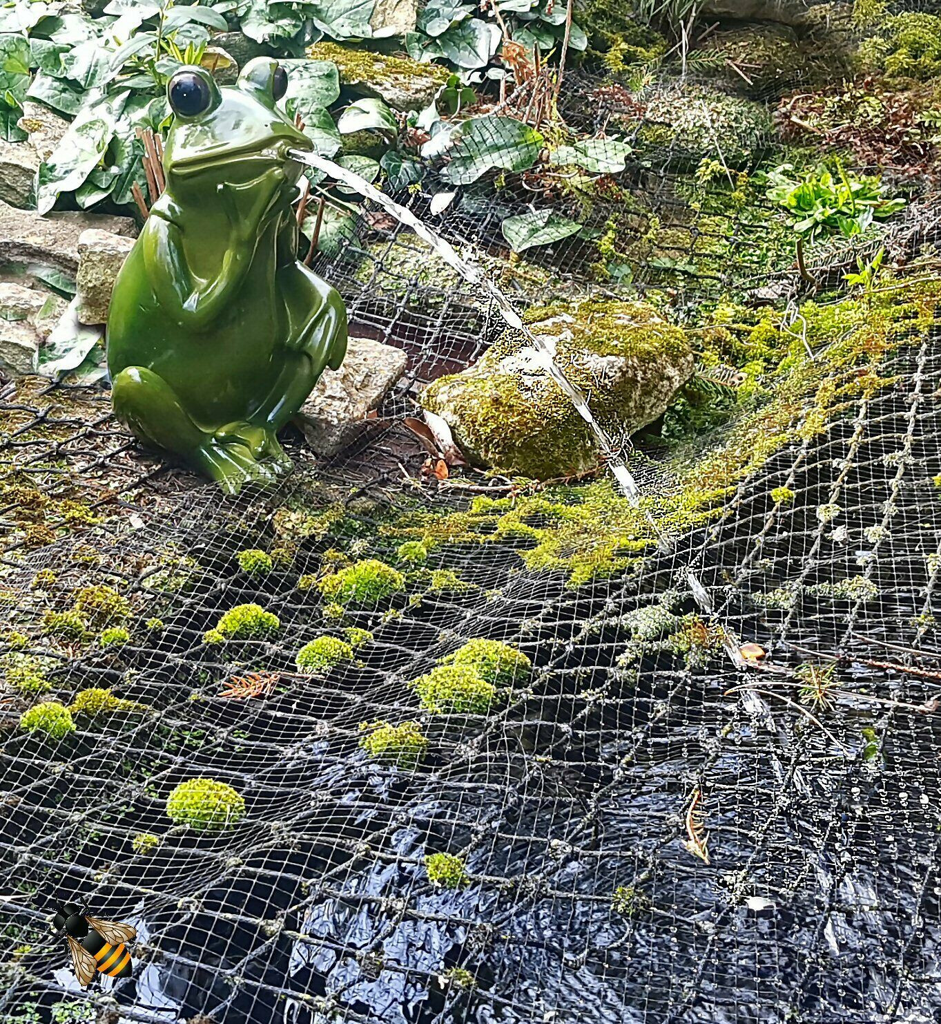 BERMUDA POND SPITTER FROG GARDEN POND WATER FEATURE PONDSIDE ORNAMENT