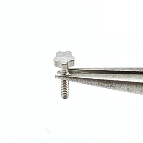 8 PIEZAS Tornillos E-1.0 Plata Acero H-2.4 L-4.9 E-1.0 para Estuche de Reloj Richard Mille - Imagen 4 de 8