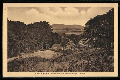 Bad Essen, Partie aus dem Essener Berge, Mühle, Ansichtskarte 