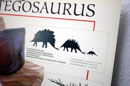 RARE AUTHENTIC VINTAGE 1994 STEGOSAURUS DINOSAUR 68X99cm HOBBY POSTER ITALY NEW - Picture 5 of 5