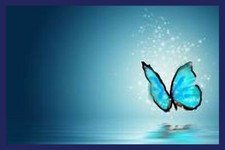 Blue Sparkle Butterfly Beauty Shadow Reflection Flutter  MAGNET