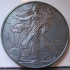 2009 Silver American Eagle  Toned