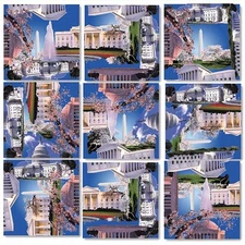B Dazzle Washington DC Scramble Squares 9 Piece Puzzle