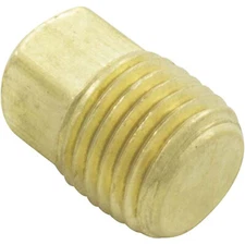 Drain Plug, Pentair C-Series, 1/4"