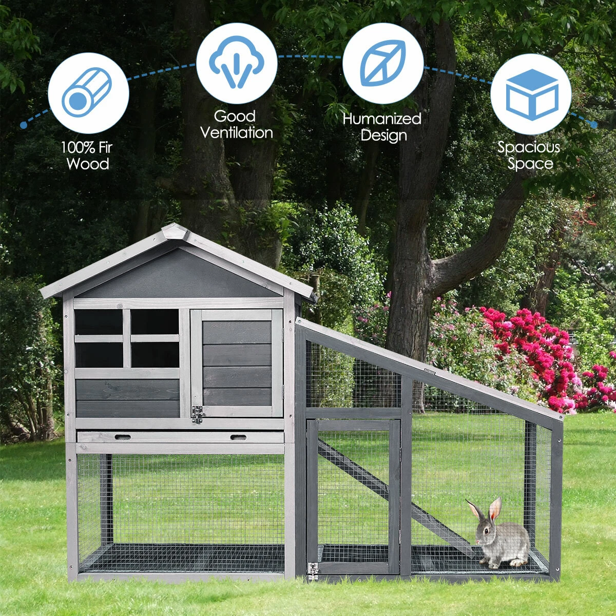 How to Choose a Rabbit Hutch