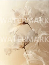 Digital Photo Image Beautiful Flowers Beige Picture Art Wallpaper Desktop