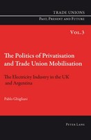 The Politics Of Privatisation And Trade Union Mobilisation Pablo Ghigliani