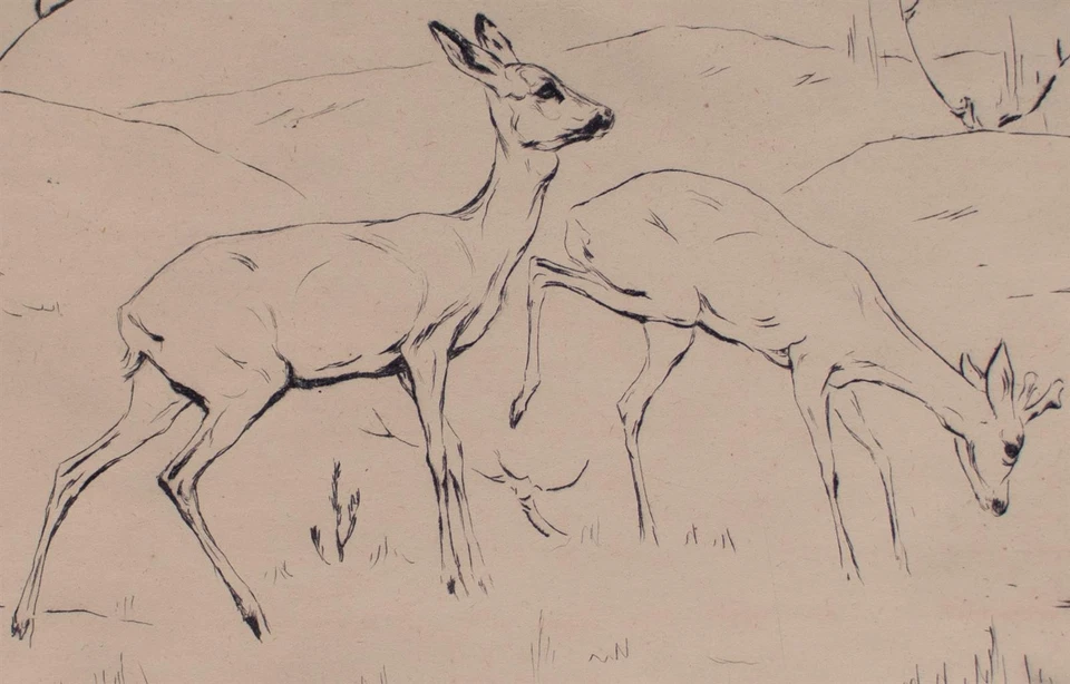 Hans Jäger Radierung Rehe eins von 30 Exemplaren signirt datiert und nummeriert - Bild 3 von 4