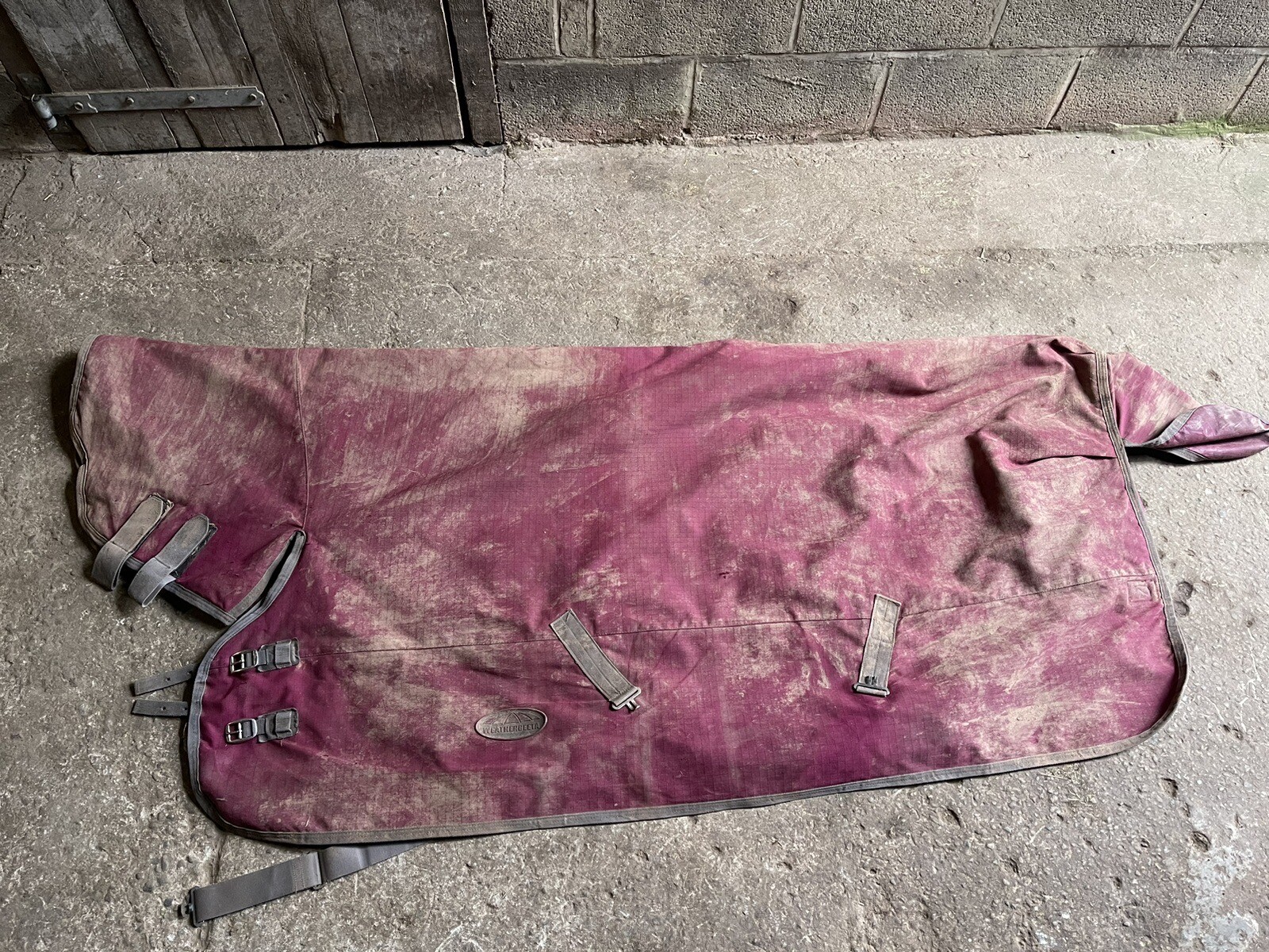 Weatherbeeta Medium weight Turnout Rug 6ft eBay