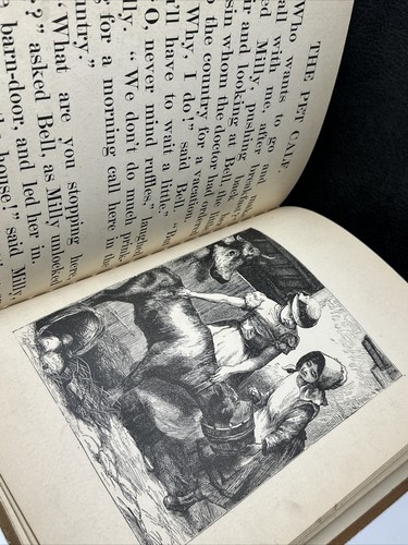 1879 Stories & Pictures of Domestic Animals by Anna Burnham HC Illustrated - Picture 12 of 14