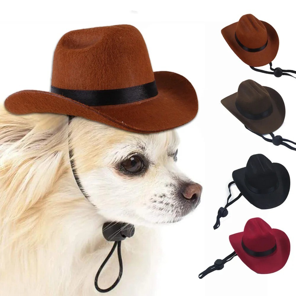 Adjustable Star Cowboy Hat for Pets – Western-Themed Costume  display picture 2
