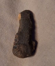 Small Phallic Rock Penis-shaped Dark Mineral or Fossil Specimen 