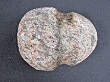 Native American Indian - 5" Stone Axe Head - 2.8 lbs - Genuine Handmade Artifact