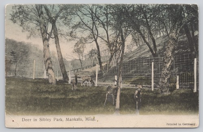 #ad #ad Mankato Minnesota Deer in Sibley Park 1908 MN Postcard *NEAT BACK Mary Go Round $9.97
