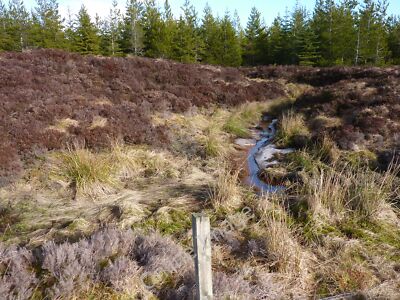 Foto 6x4 Moorbrand taucht aus dem Wald Garbet Hill c2011