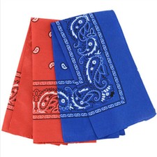 Paisley Bandanas