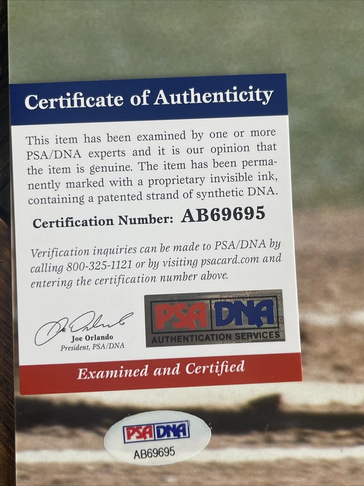 MIKE PIAZZA AUTOGRAPHED Signed 16x20 PHOTO DODGERS PSA/DNA Authentic COA - Image 3 of 3