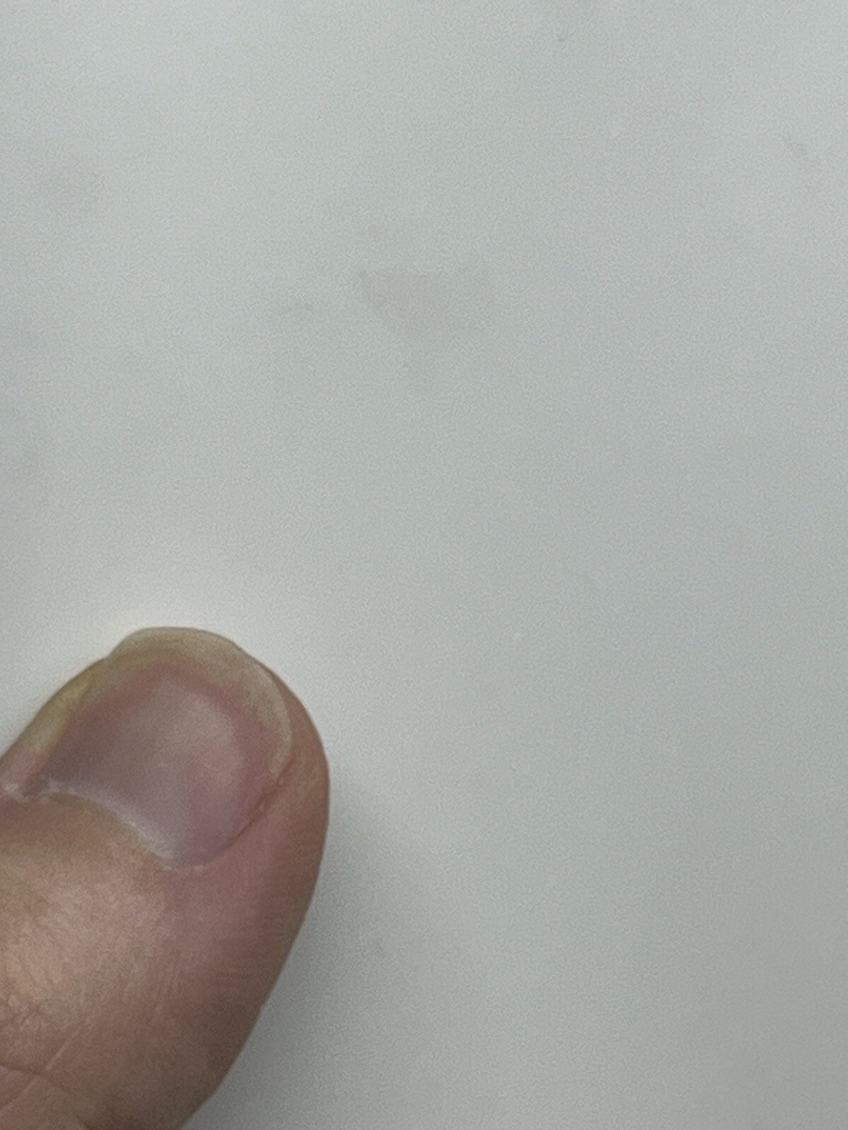 Picture 2 of 13