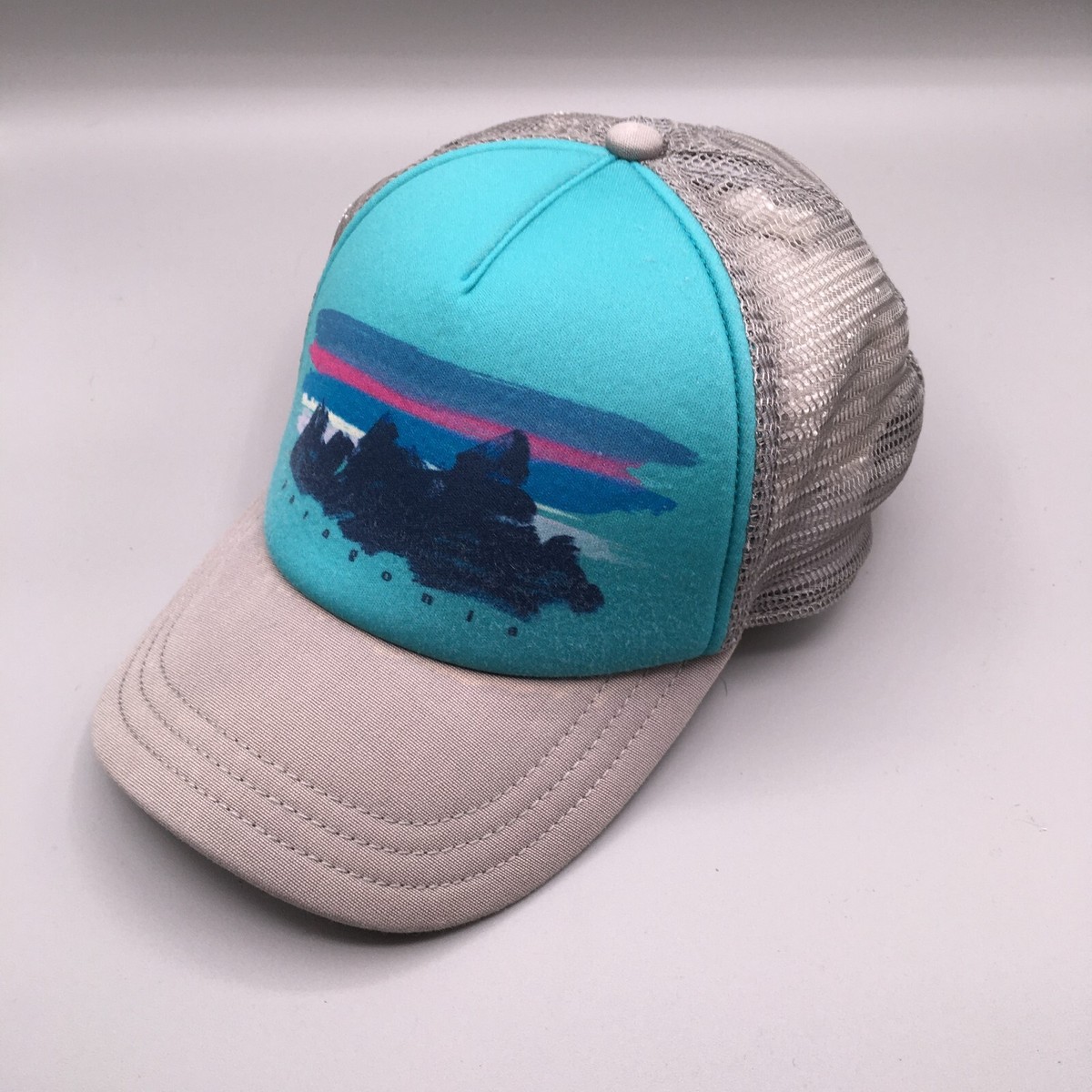Patagonia Trucker Hat Women Teal/Gray Mesh Snapback Foam  display picture 1