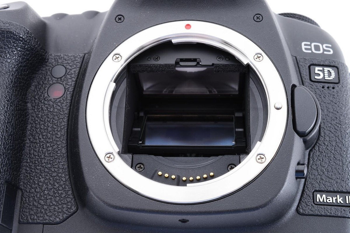 超美品 1036ショット Canon EOS 5D Mark II ボディ Canon EOS 5D