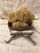 Mediterranean Natural Sea Wool Sponges Approx. 2.5"-3"ea.  Lot of 25 Sponges 