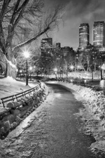 New York City Central Park Wintery Path B&W Photo Photograph Poster 16x24